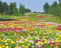 Akashi Kaikyo Park