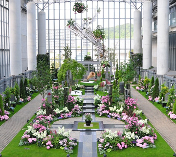 「奇跡の星の植物館」